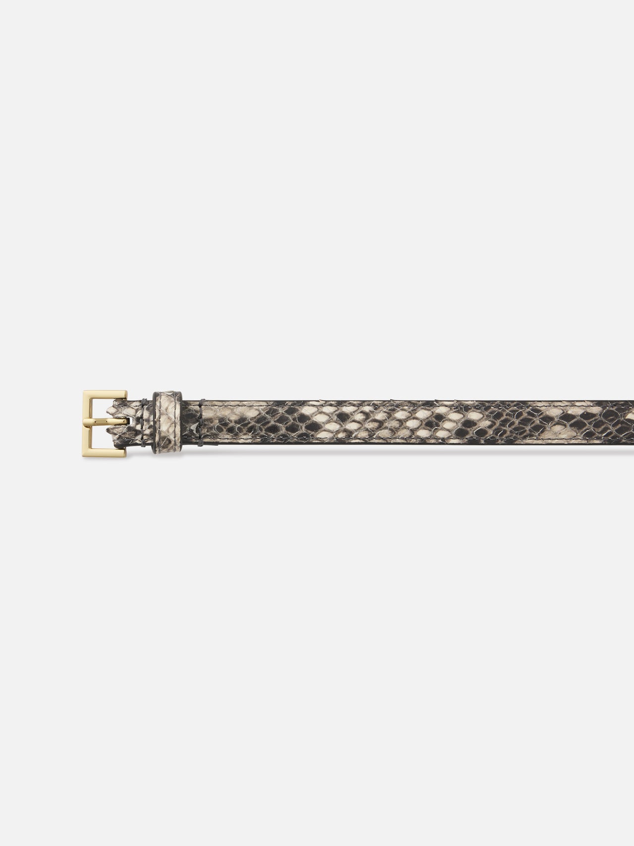 Belt Detail Packshot