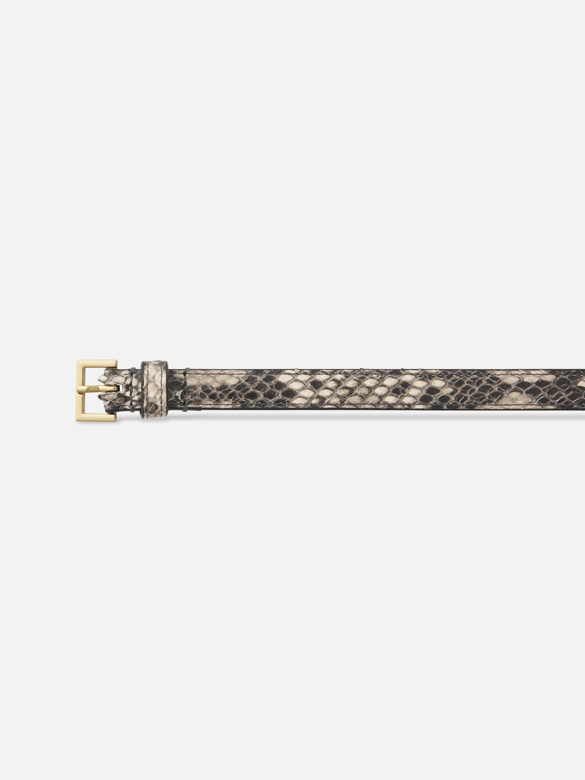 Belt Detail Packshot