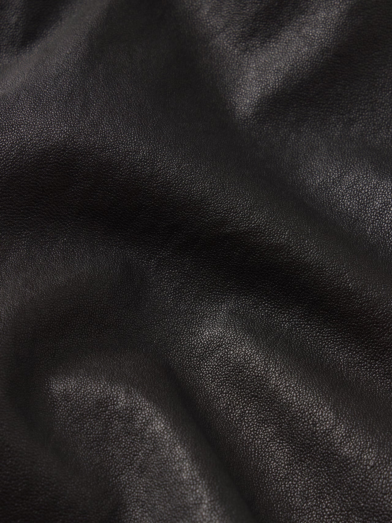 pant-back-image