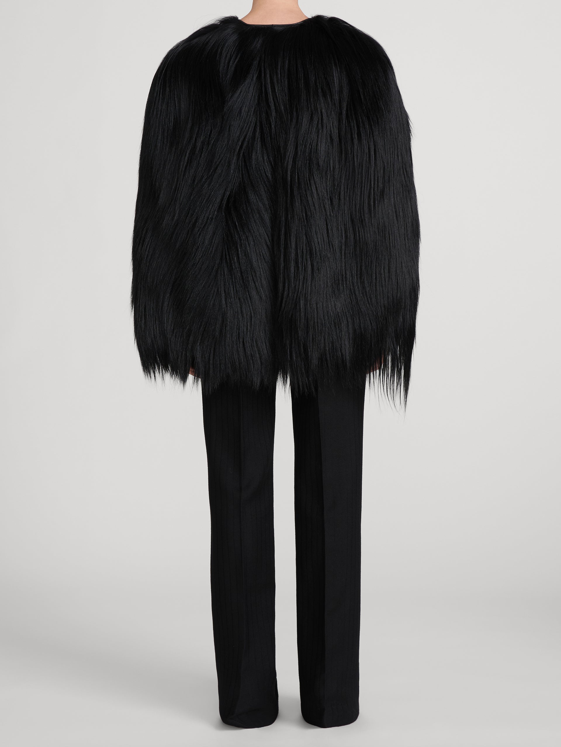 jacket-back-image