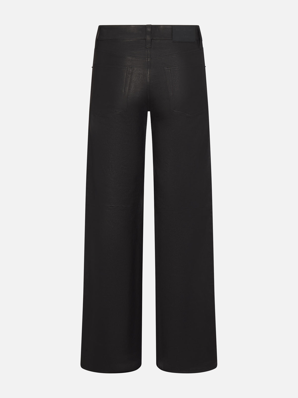 pant-full-front-image