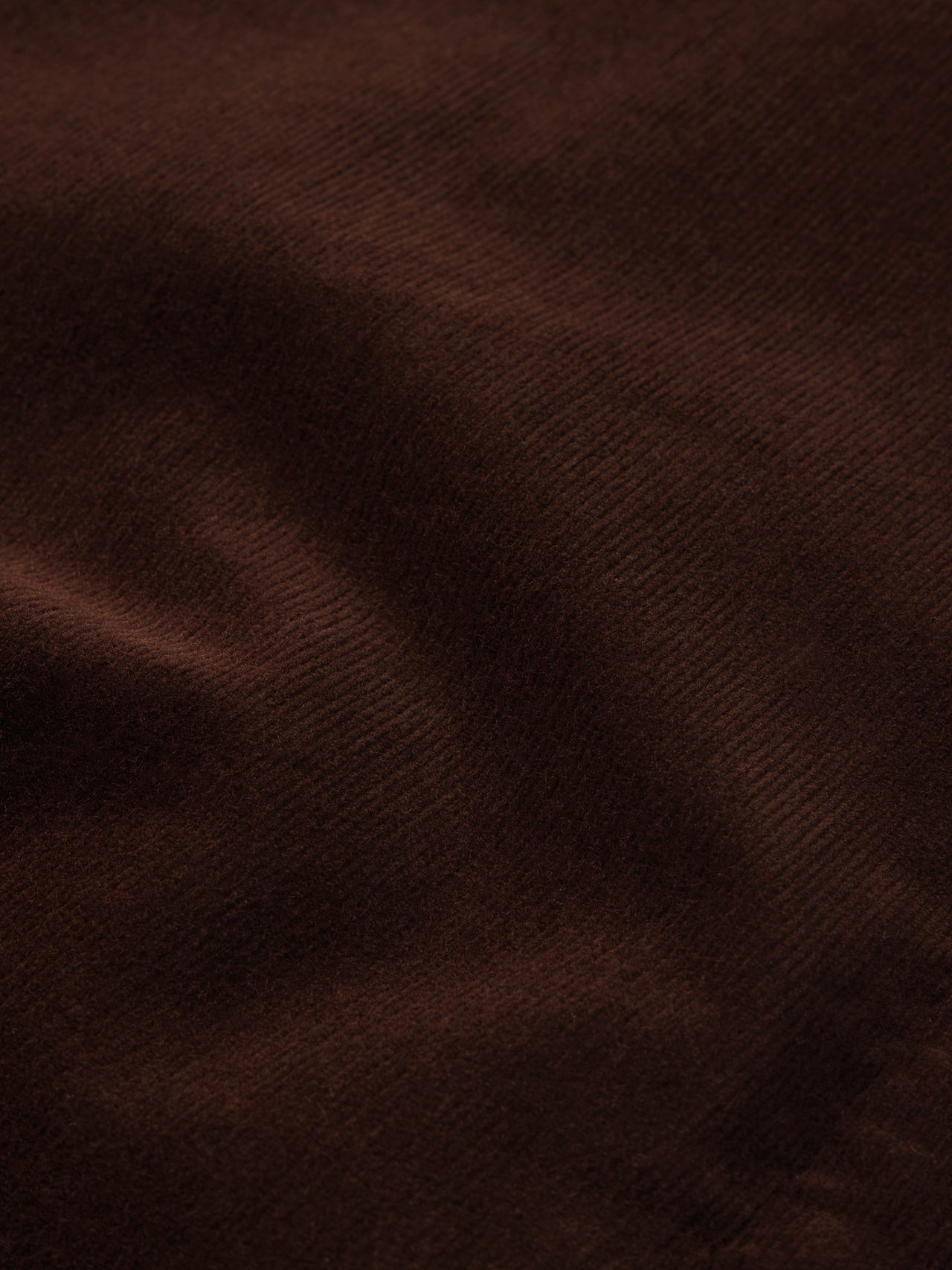 pant-back-image