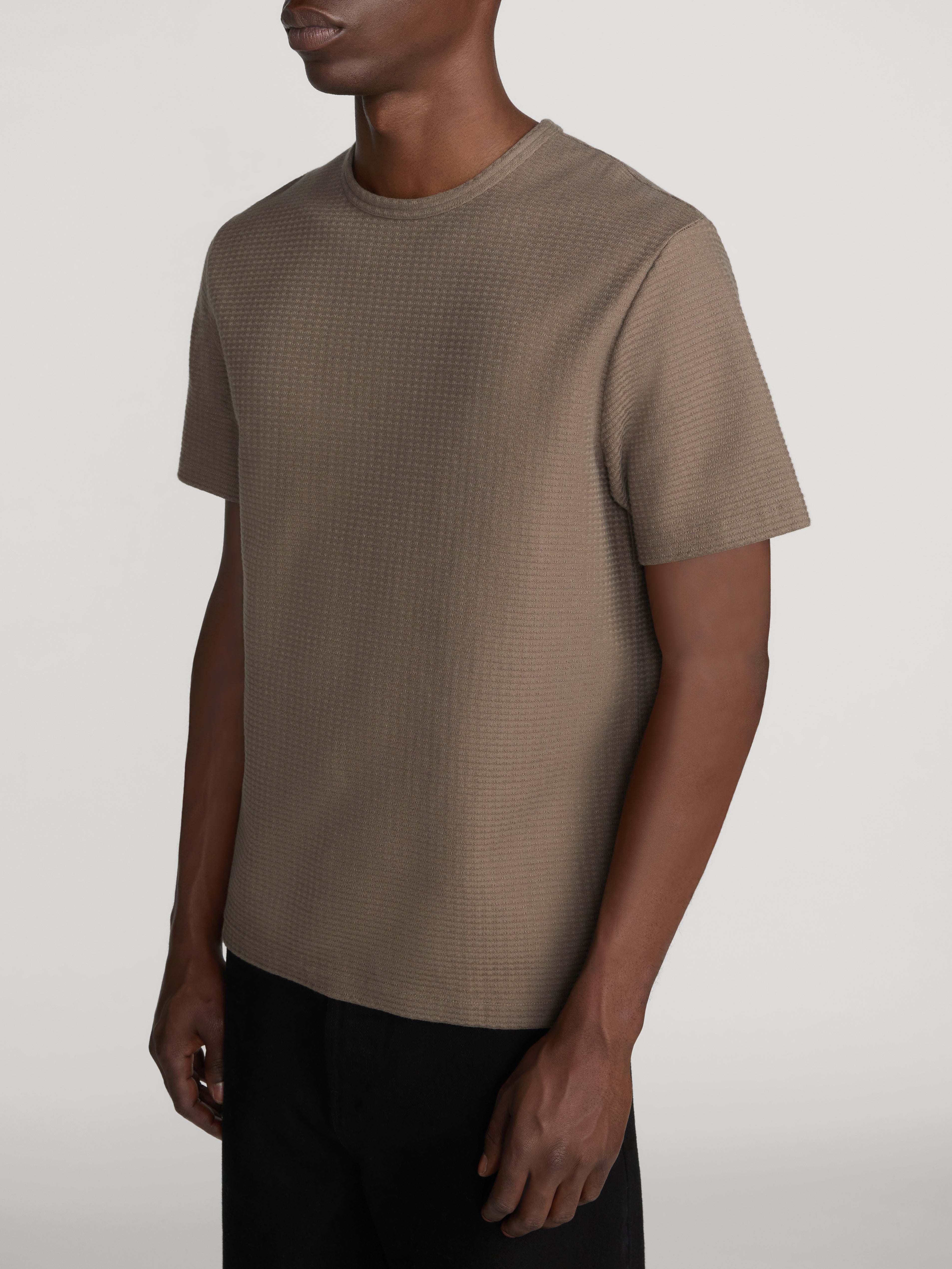 Jacquard Stripe Tee -- Soft Taupe