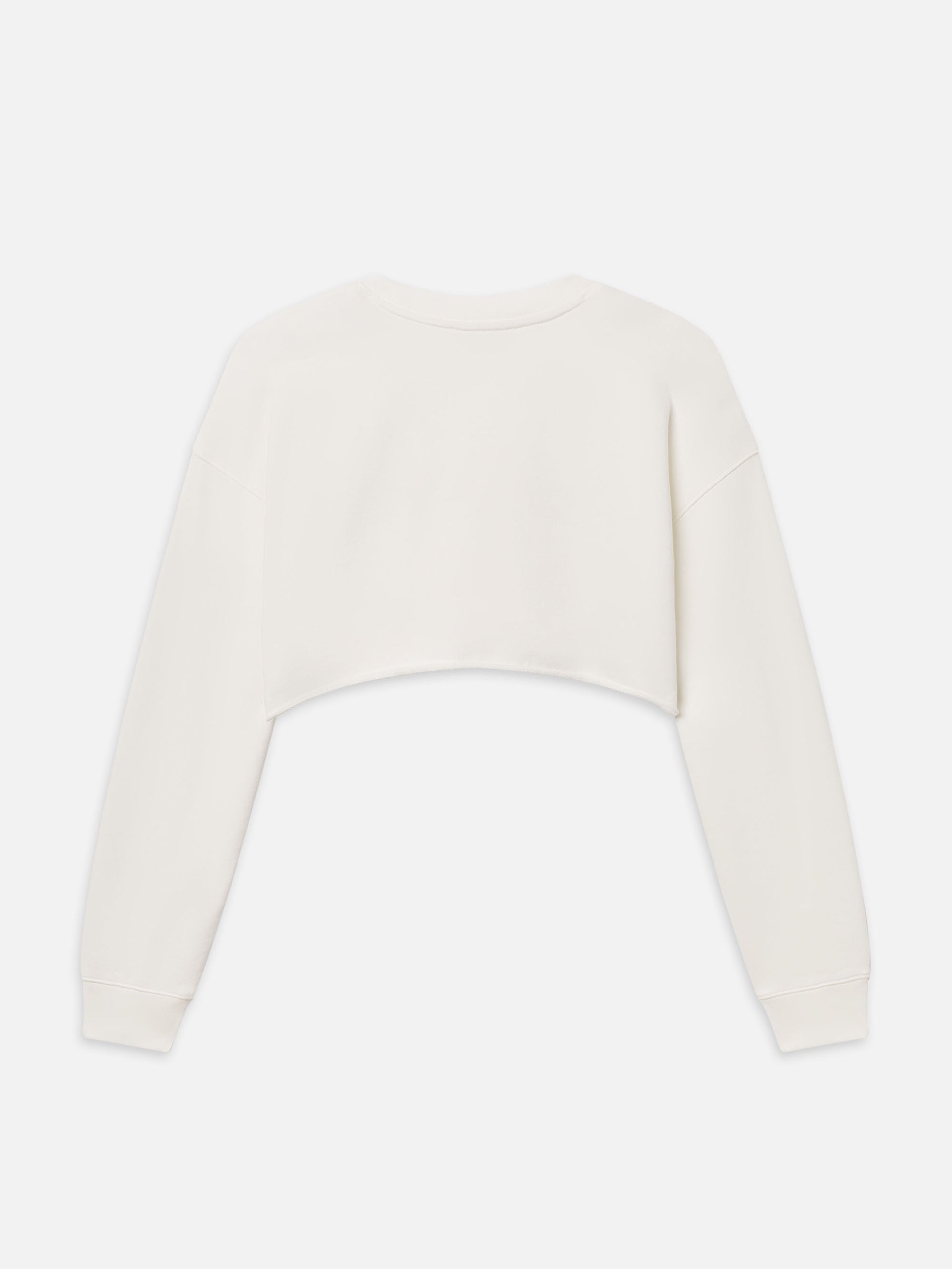 sweatshirt back packshot image alt:fit2