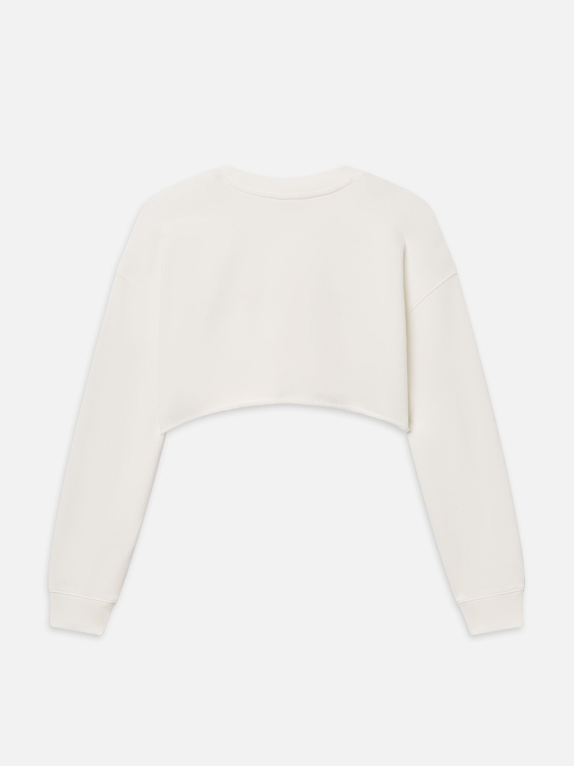 sweatshirt back packshot image alt:fit2