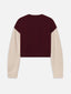 sweater back packshot image alt:fit2