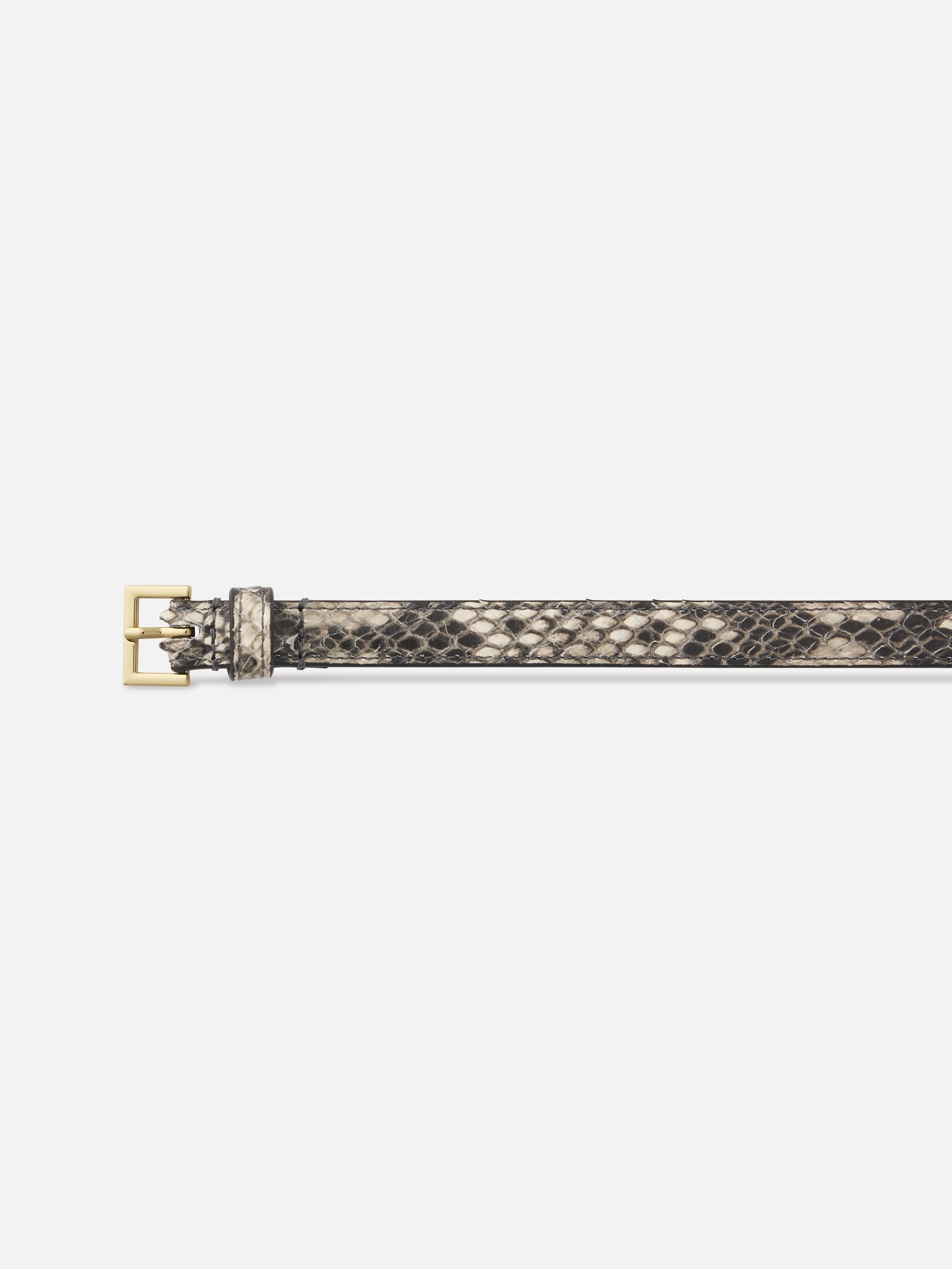 Belt Detail Packshot 