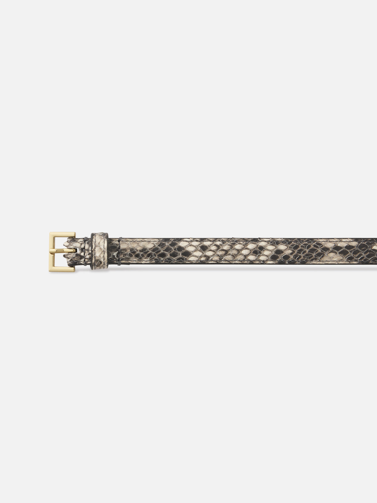 Belt Detail Packshot 
