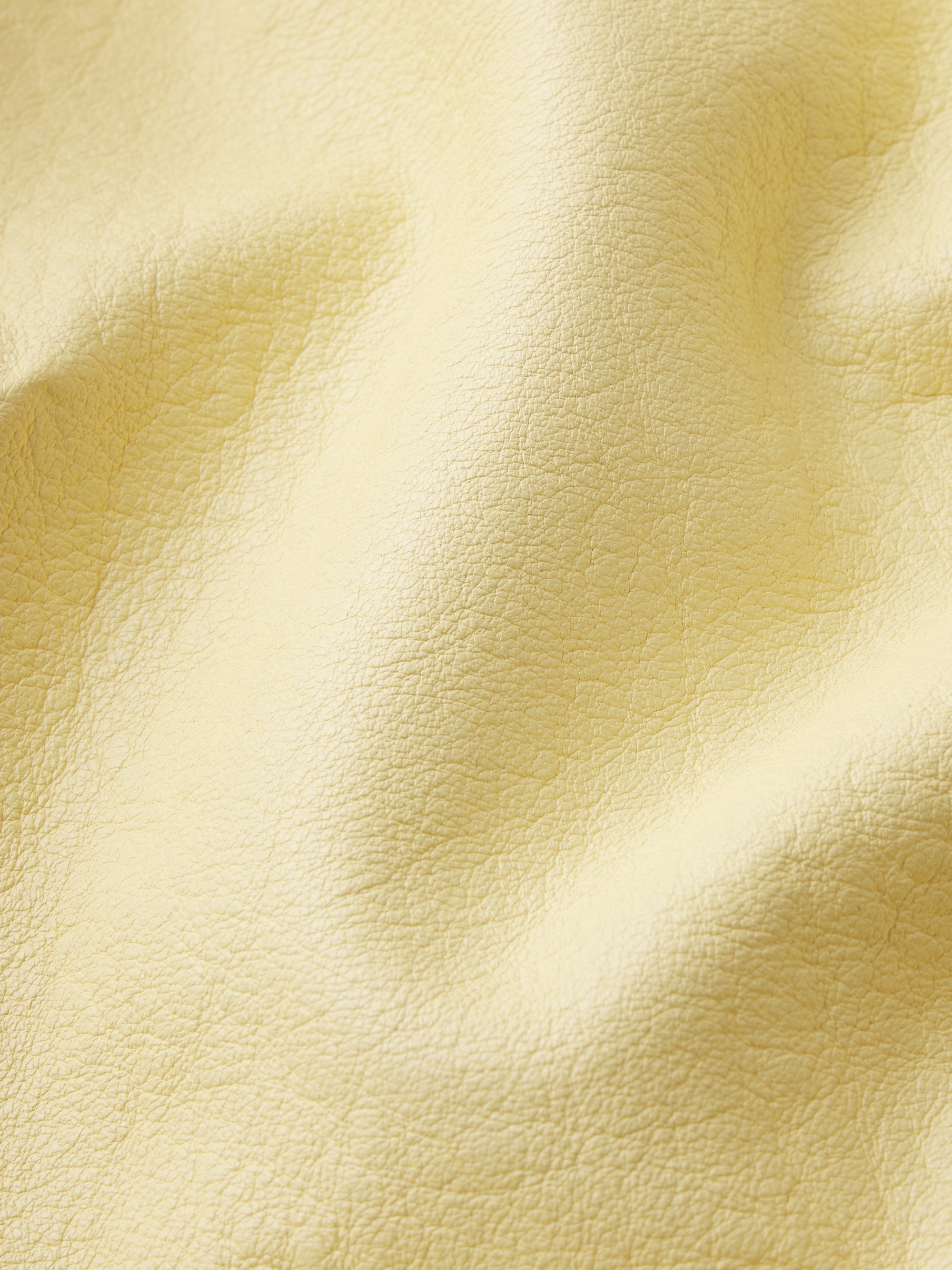 The Small Leather Jacket -- Lemon