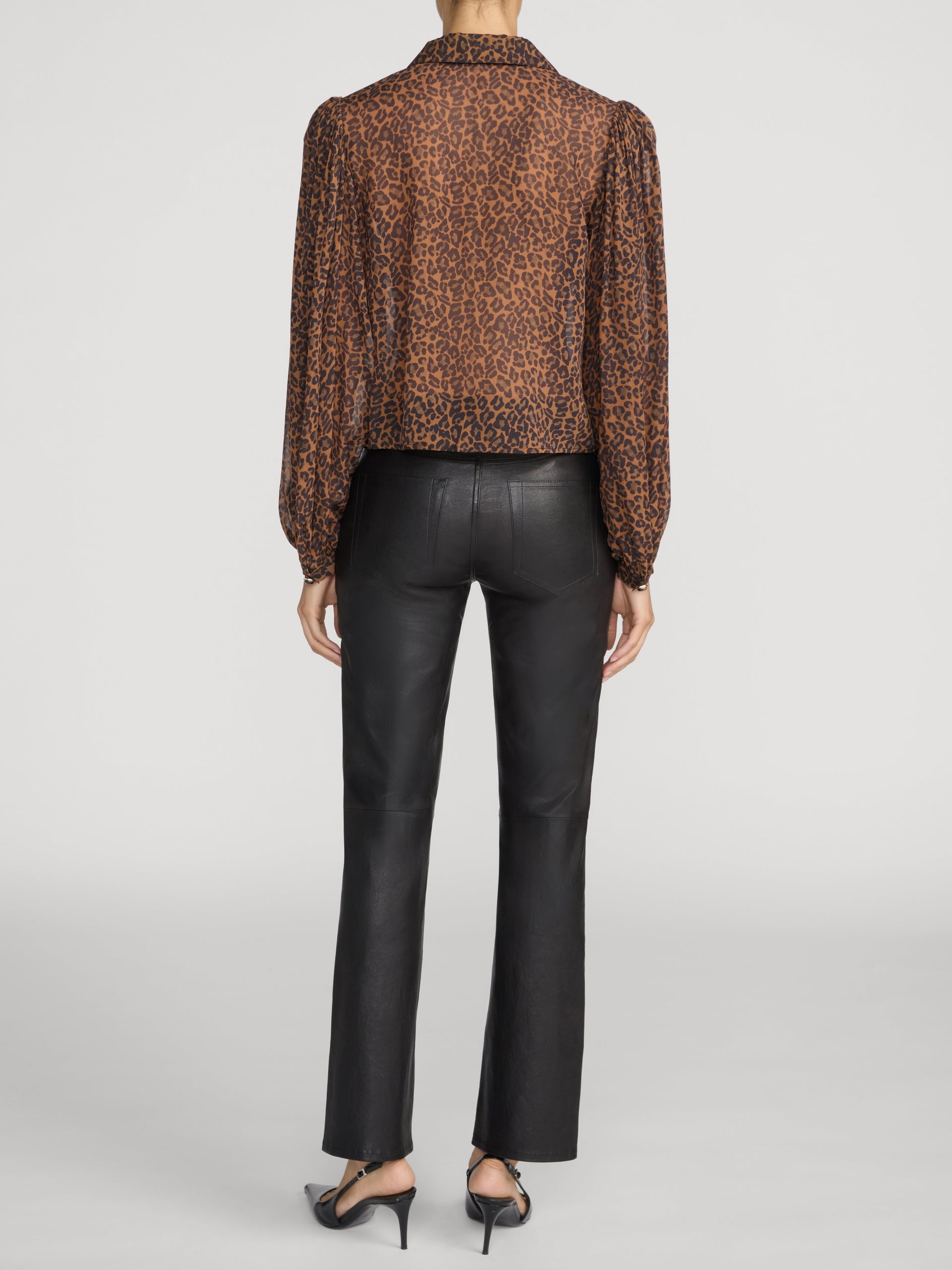 pant-back-image