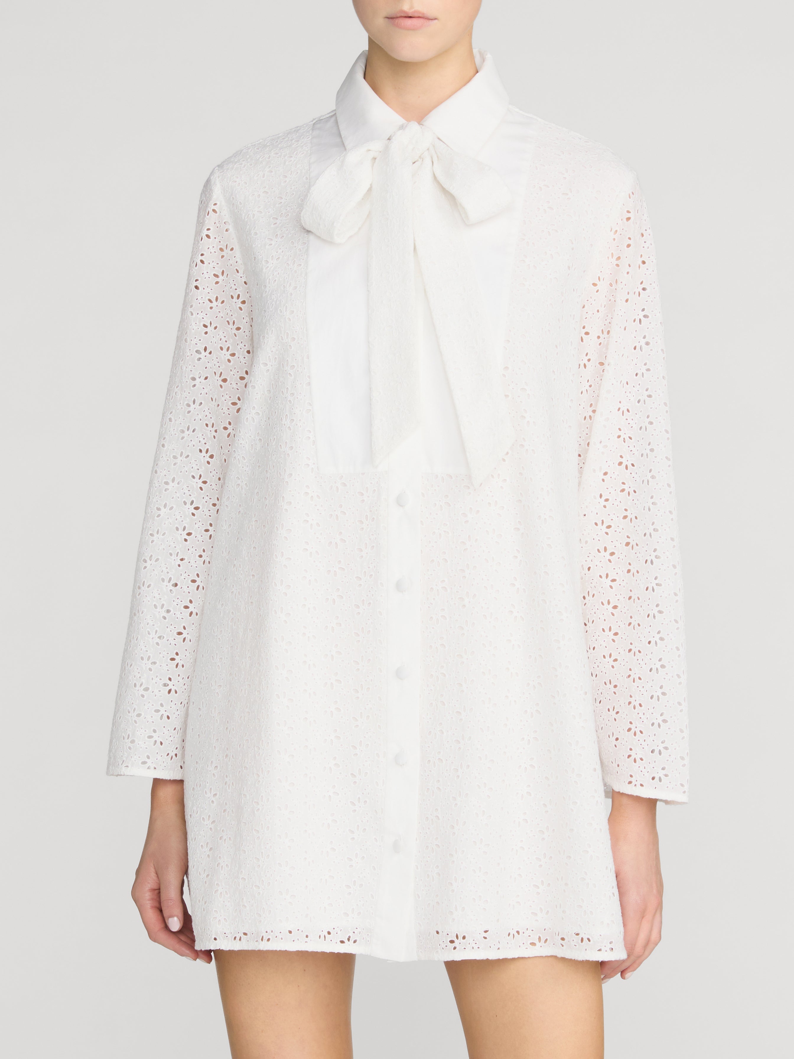 dress-front-crop-image