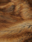 coat texture detail image