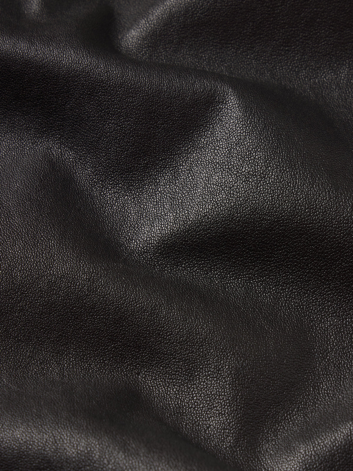 pant-back-image