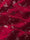 pants-texture-fabric-image