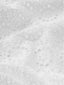 Fabric Detail 