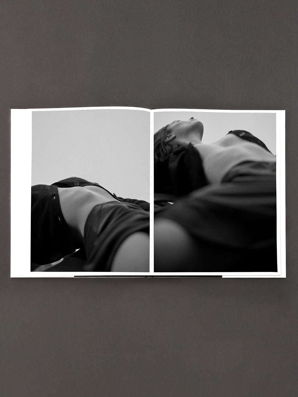 book model image