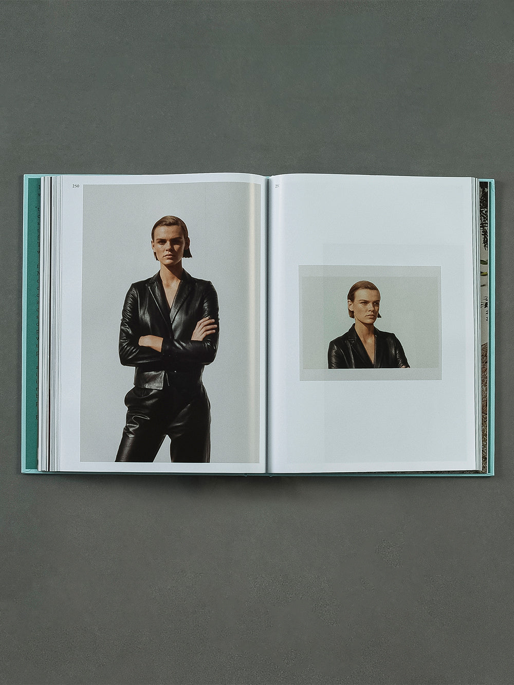 book preview pages view